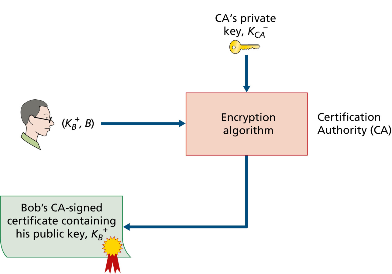 图 8.14 Bob 由 CA 认证其公钥(Figure 8.14: Bob has his public key certified by the CA)