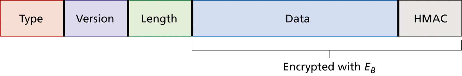 图 8.25 almost-TLS 的记录格式(Figure 8.25: Record format for almost-TLS)